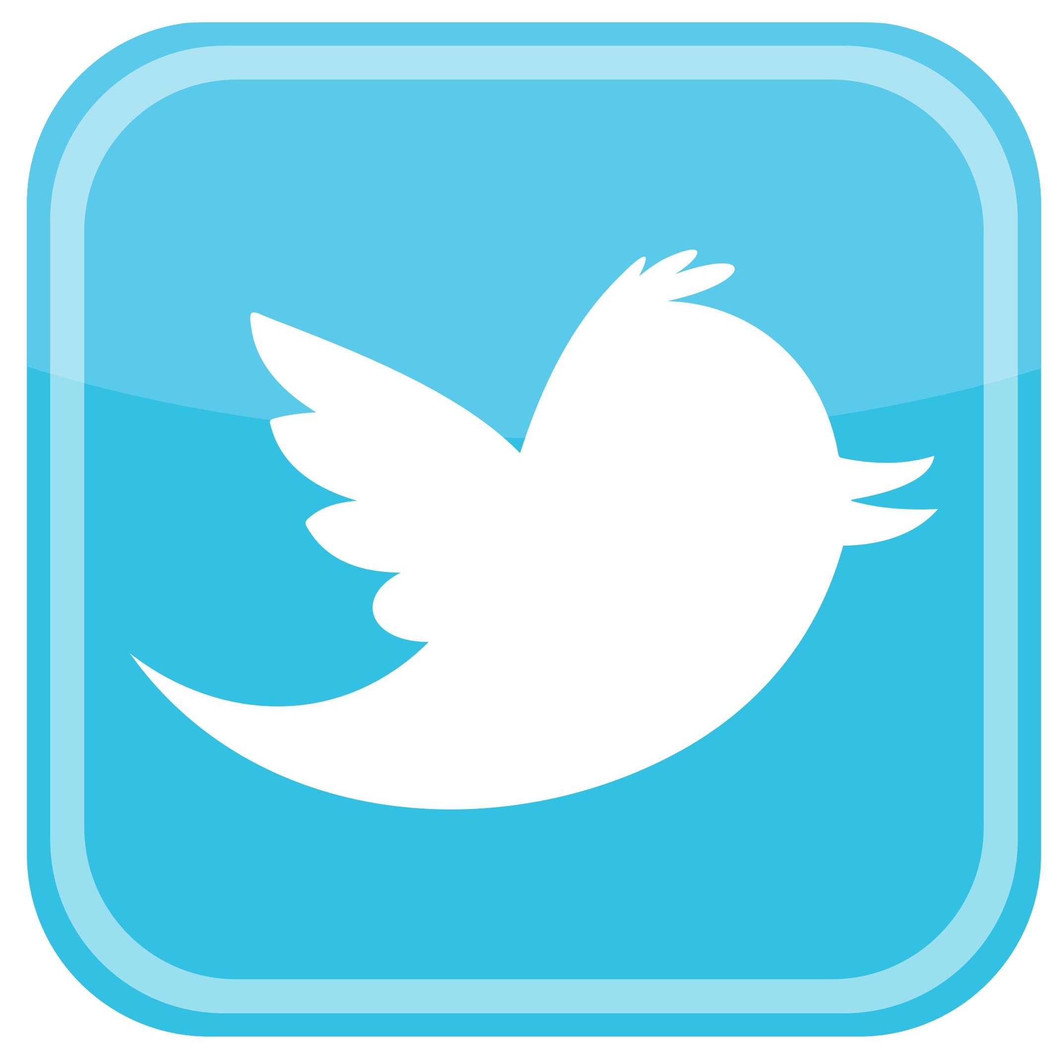 twitter_bird_icon