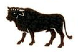 taurus