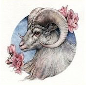 aries