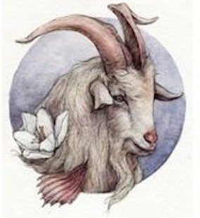 capricorn