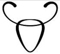 Taurus.png