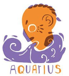 Aquarius, Water-bearer